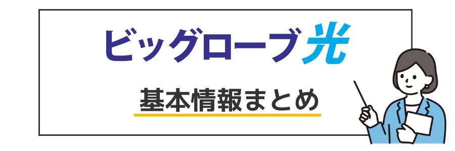 ビッグローブ光 基本情報